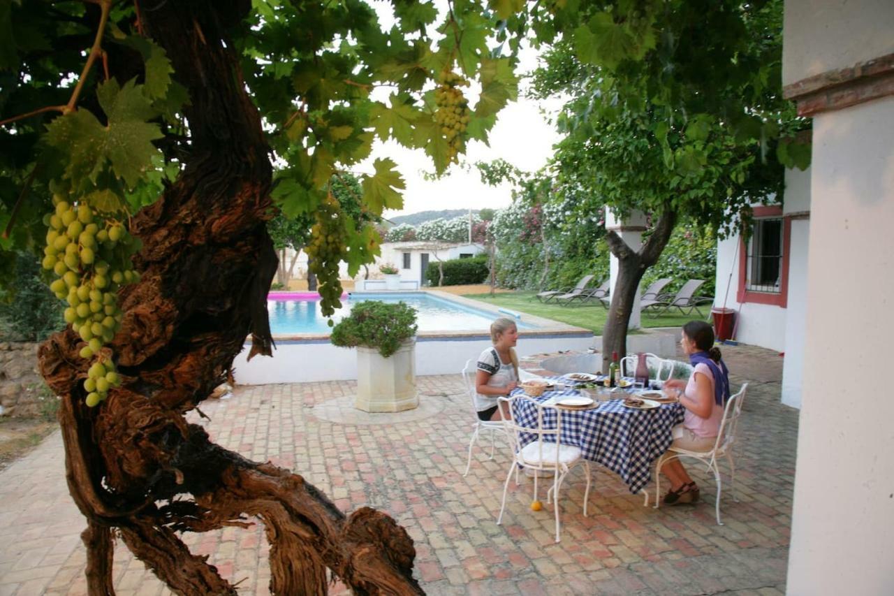 Cortijo El Triguero N-398 Ctra Carmona - El Viso Del Alcor Km 18 Villa Eksteriør billede