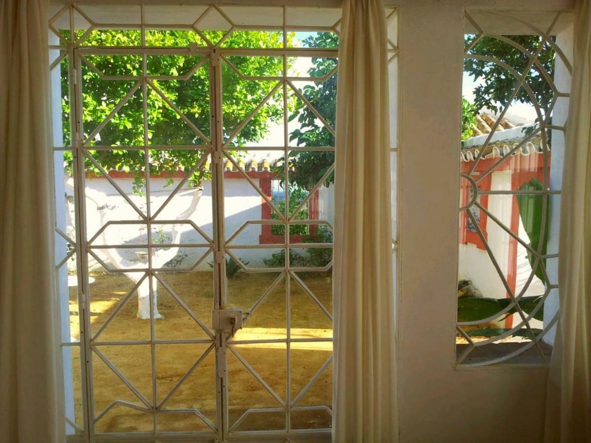 Cortijo El Triguero N-398 Ctra Carmona - El Viso Del Alcor Km 18 Villa Eksteriør billede